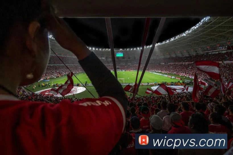 体育数据展示